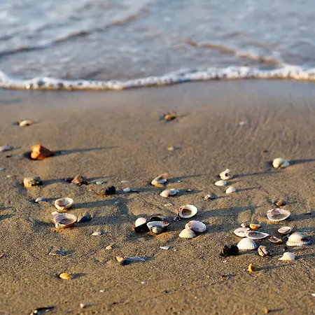 In 38315 * Bibione