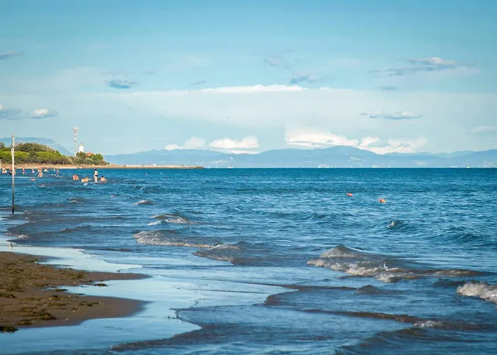 In 38315 公寓 比比翁